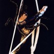 – Foto: Danza Furiosa
