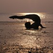 – Foto: Danza Furiosa